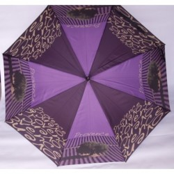 Parasol Doppler Art...