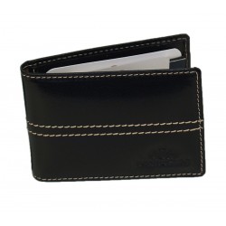 Wittchen 14-2-118 etui...