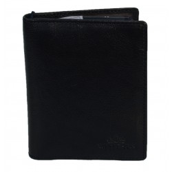 Wittchen 14-2-163 etui na...